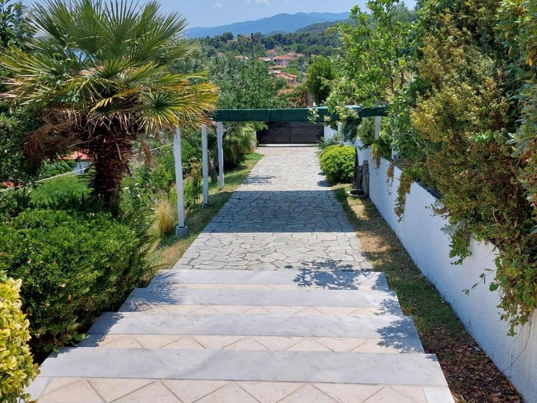 Seaview Dreams Villa Ormos Panagias Eksteriør billede