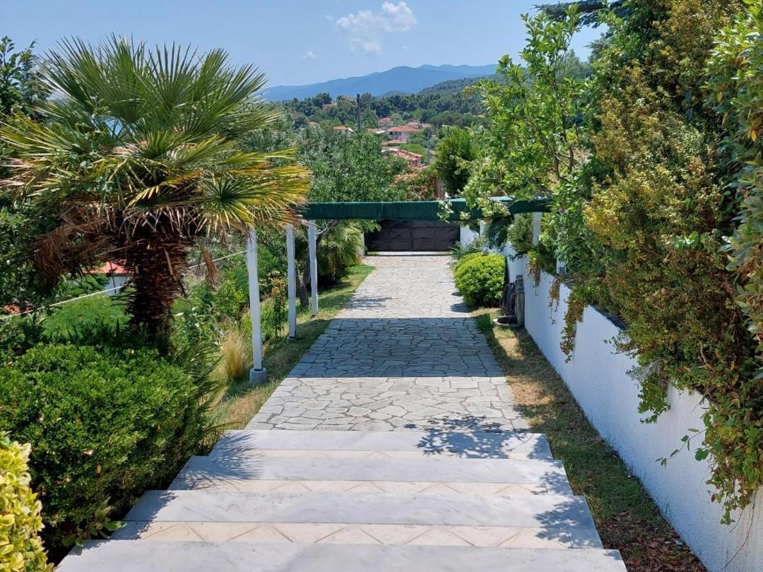 Seaview Dreams Villa Ormos Panagias Værelse billede