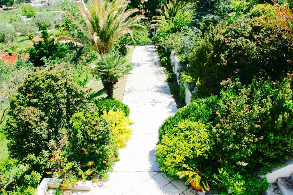 Seaview Dreams Villa Ormos Panagias Eksteriør billede