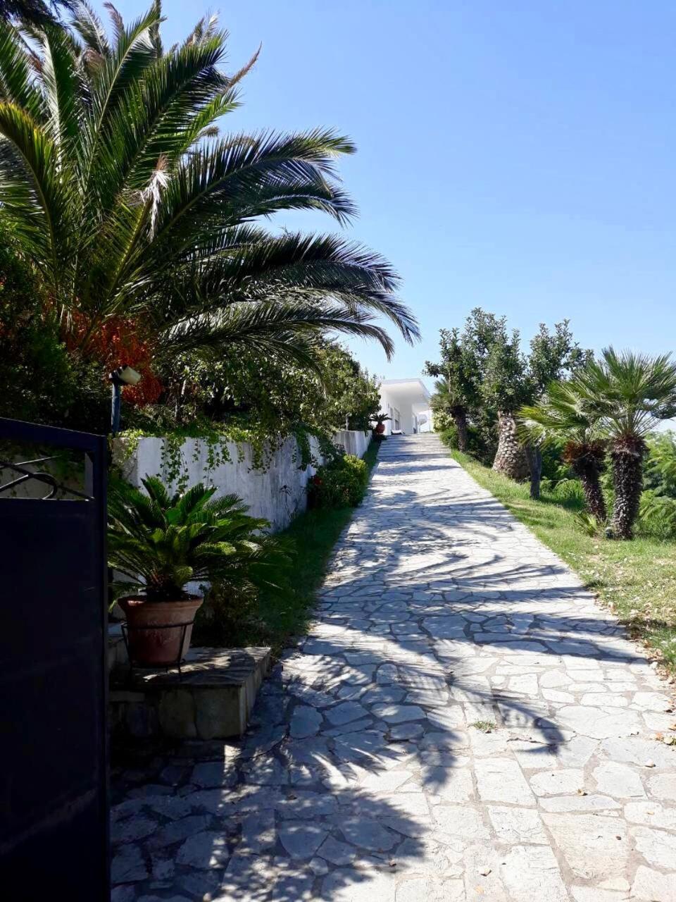 Seaview Dreams Villa Ormos Panagias Eksteriør billede